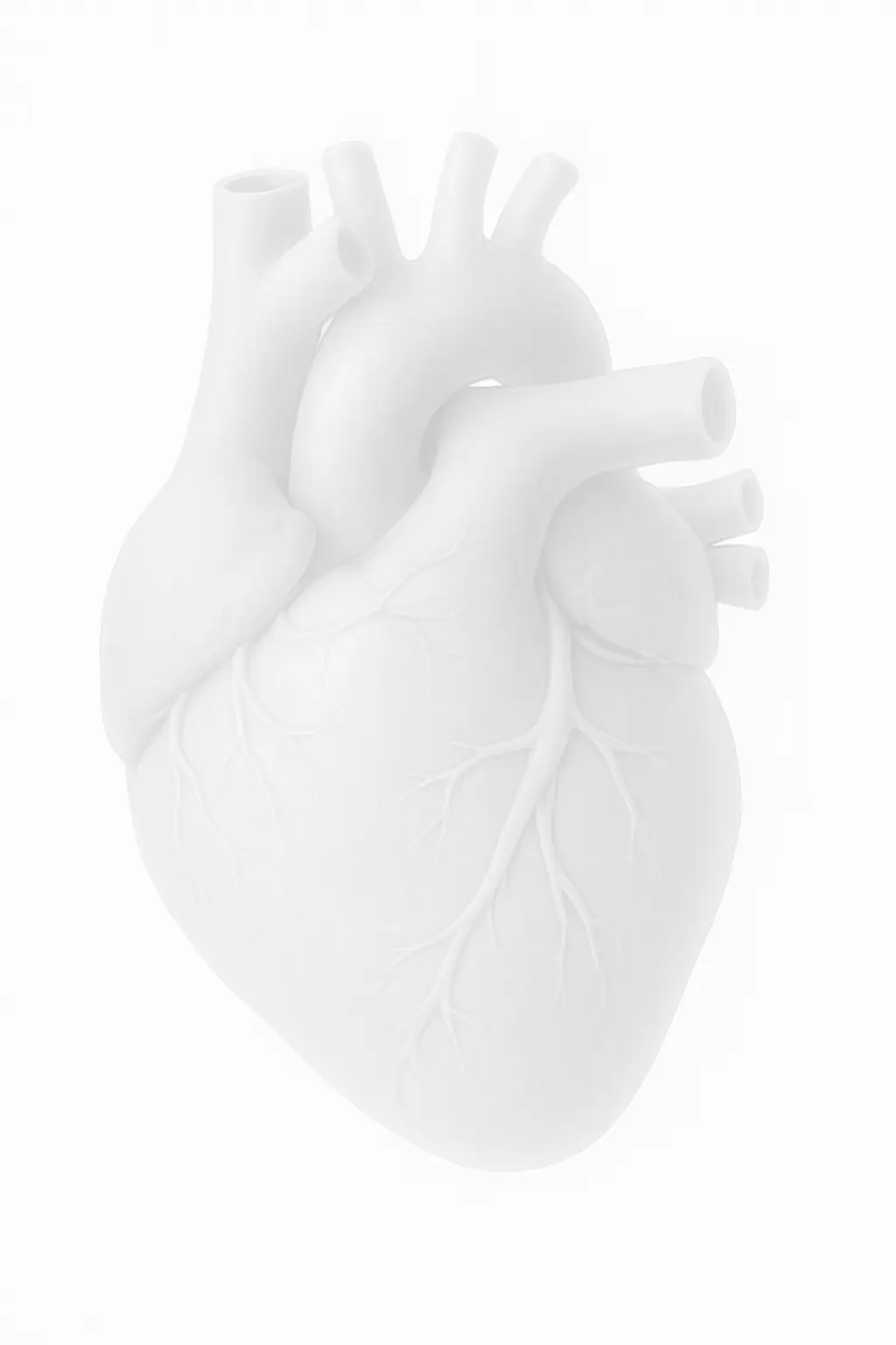 heart