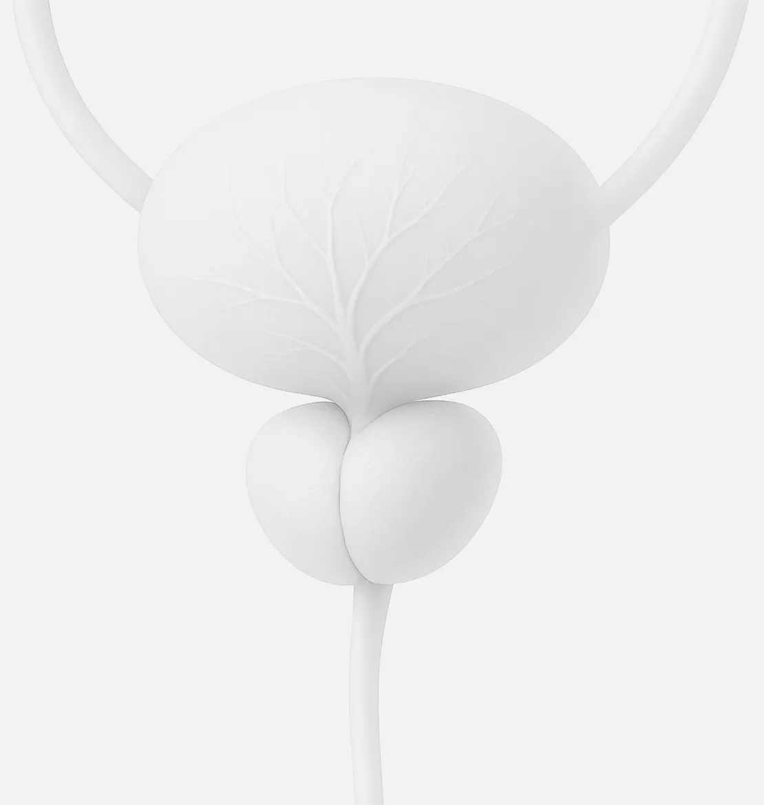 magnetresonanz