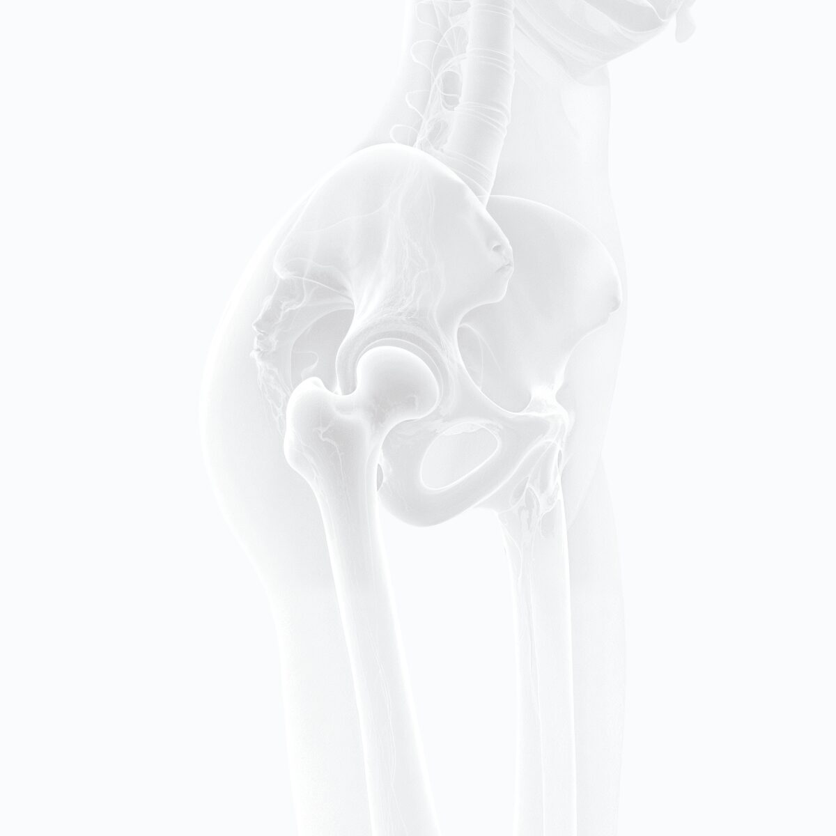 CT Knochen & Gelenke