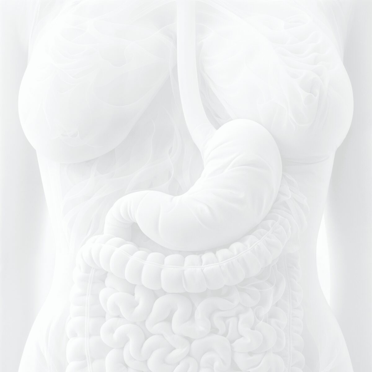CT Thorax, Abdomen & Becken